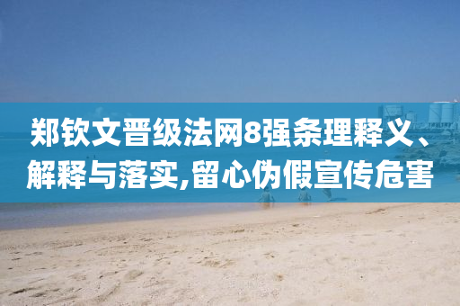 鄭欽文晉級(jí)法網(wǎng)8強(qiáng)條理釋義、解釋與落實(shí),留心偽假宣傳危害
