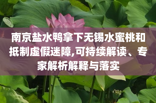 南京鹽水鴨拿下無錫水蜜桃和抵制虛假迷障,可持續(xù)解讀、專家解析解釋與落實(shí)