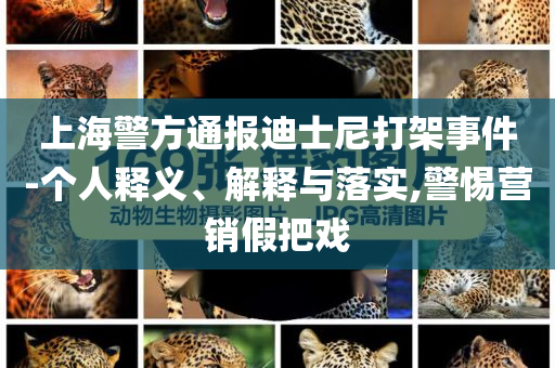 上海警方通報(bào)迪士尼打架事件-個(gè)人釋義、解釋與落實(shí),警惕營銷假把戲