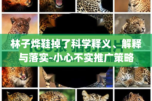 林子燁鞋掉了科學(xué)釋義、解釋與落實(shí)-小心不實(shí)推廣策略