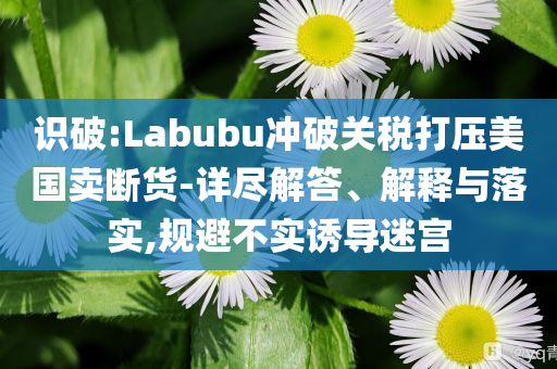 識破:Labubu沖破關(guān)稅打壓美國賣斷貨-詳盡解答、解釋與落實(shí),規(guī)避不實(shí)誘導(dǎo)迷宮