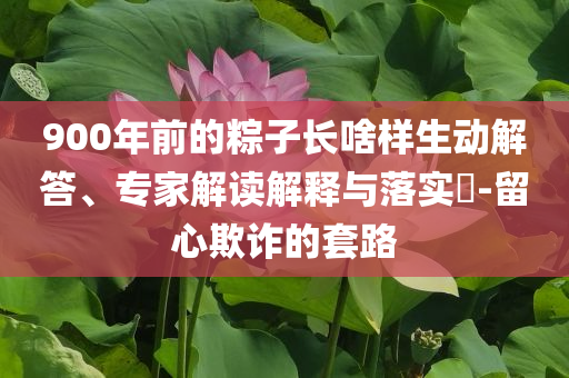 900年前的粽子長啥樣生動(dòng)解答、專家解讀解釋與落實(shí)?-留心欺詐的套路