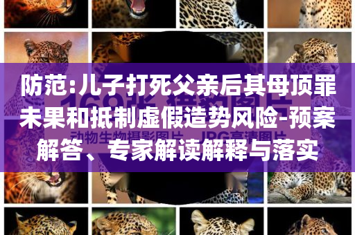 防范:兒子打死父親后其母頂罪未果和抵制虛假造勢風險-預案解答、專家解讀解釋與落實