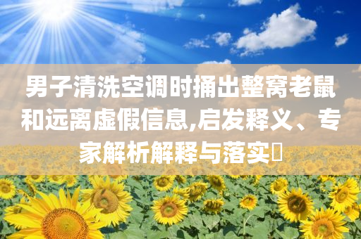 男子清洗空調(diào)時捅出整窩老鼠和遠離虛假信息,啟發(fā)釋義、專家解析解釋與落實?