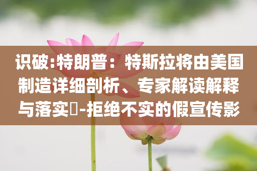 識破:特朗普：特斯拉將由美國制造詳細(xì)剖析、專家解讀解釋與落實?-拒絕不實的假宣傳影