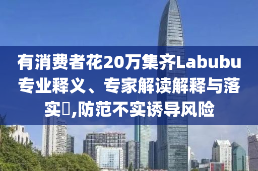 有消費(fèi)者花20萬集齊Labubu專業(yè)釋義、專家解讀解釋與落實(shí)?,防范不實(shí)誘導(dǎo)風(fēng)險(xiǎn)