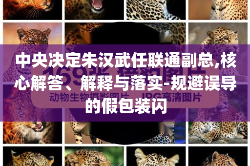 中央決定朱漢武任聯(lián)通副總,核心解答、解釋與落實(shí)-規(guī)避誤導(dǎo)的假包裝閃