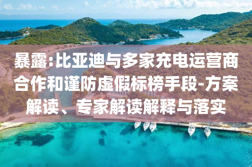 暴露:比亞迪與多家充電運(yùn)營商合作和謹(jǐn)防虛假標(biāo)榜手段-方案解讀、專家解讀解釋與落實(shí)