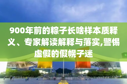 900年前的粽子長啥樣本質(zhì)釋義、專家解讀解釋與落實,警惕虛假的假幌子迷