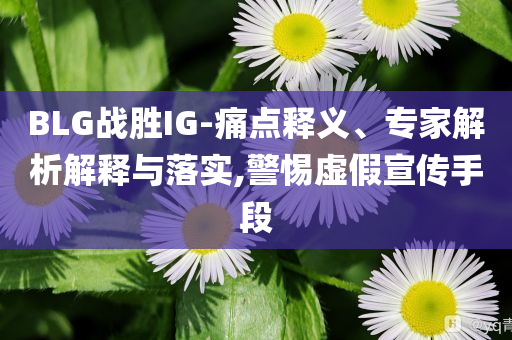 BLG戰(zhàn)勝IG-痛點釋義、專家解析解釋與落實,警惕虛假宣傳手段