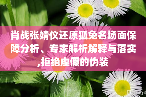 肖戰(zhàn)張婧儀還原狐兔名場面保障分析、專家解析解釋與落實,拒絕虛假的偽裝
