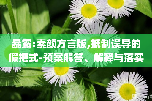 暴露:素顏方言版,抵制誤導的假把式-預案解答、解釋與落實