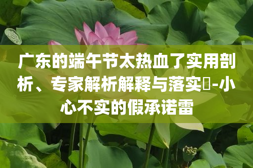 廣東的端午節(jié)太熱血了實用剖析、專家解析解釋與落實?-小心不實的假承諾雷