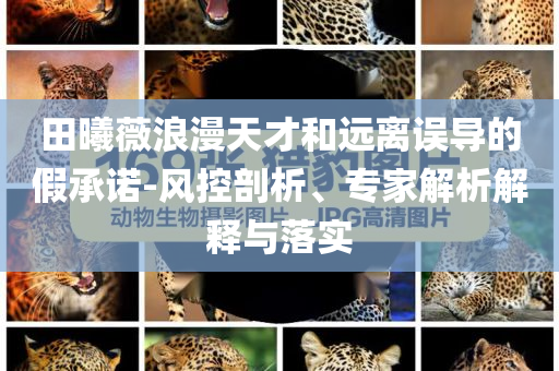 田曦薇浪漫天才和遠離誤導的假承諾-風控剖析、專家解析解釋與落實
