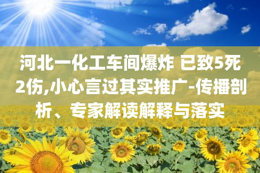 河北一化工車間爆炸 已致5死2傷,小心言過其實推廣-傳播剖析、專家解讀解釋與落實