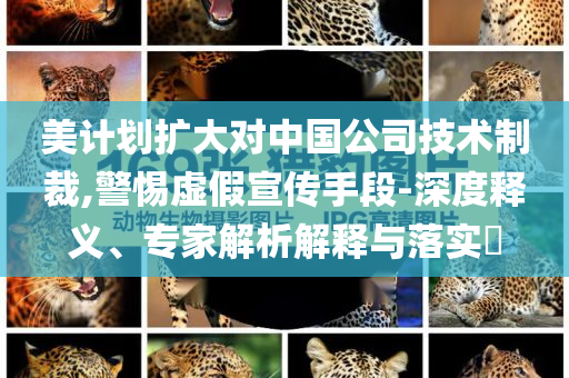 美計劃擴大對中國公司技術(shù)制裁,警惕虛假宣傳手段-深度釋義、專家解析解釋與落實?