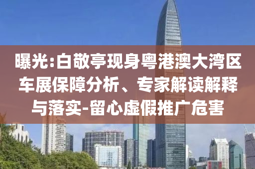 曝光:白敬亭現(xiàn)身粵港澳大灣區(qū)車(chē)展保障分析、專(zhuān)家解讀解釋與落實(shí)-留心虛假推廣危害