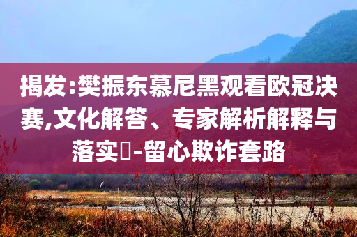 揭發(fā):樊振東慕尼黑觀看歐冠決賽,文化解答、專(zhuān)家解析解釋與落實(shí)?-留心欺詐套路