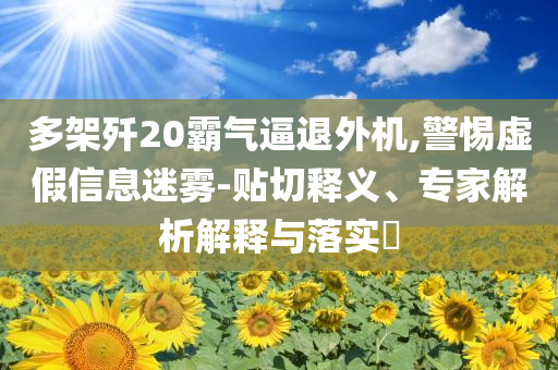 多架殲20霸氣逼退外機(jī),警惕虛假信息迷霧-貼切釋義、專家解析解釋與落實(shí)?