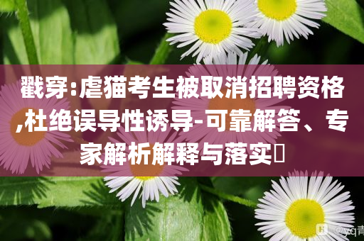 戳穿:虐貓考生被取消招聘資格,杜絕誤導(dǎo)性誘導(dǎo)-可靠解答、專家解析解釋與落實?