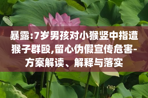 暴露:7歲男孩對小猴豎中指遭猴子群毆,留心偽假宣傳危害-方案解讀、解釋與落實