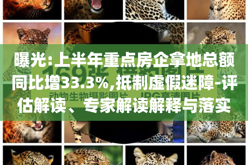 曝光:上半年重點(diǎn)房企拿地總額同比增33.3%,抵制虛假迷障-評(píng)估解讀、專家解讀解釋與落實(shí)