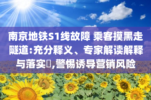 南京地鐵S1線故障 乘客摸黑走隧道:充分釋義、專家解讀解釋與落實(shí)?,警惕誘導(dǎo)營(yíng)銷(xiāo)風(fēng)險(xiǎn)