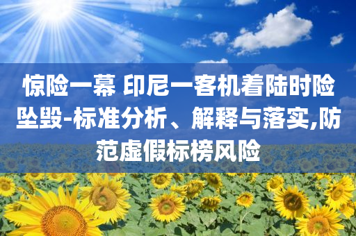 驚險(xiǎn)一幕 印尼一客機(jī)著陸時(shí)險(xiǎn)墜毀-標(biāo)準(zhǔn)分析、解釋與落實(shí),防范虛假標(biāo)榜風(fēng)險(xiǎn)