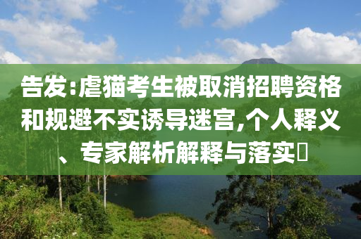 告發(fā):虐貓考生被取消招聘資格和規(guī)避不實誘導(dǎo)迷宮,個人釋義、專家解析解釋與落實?