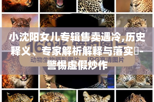 小沈陽女兒專輯售賣遇冷,歷史釋義、專家解析解釋與落實?-警惕虛假炒作