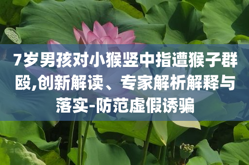 7歲男孩對(duì)小猴豎中指遭猴子群毆,創(chuàng)新解讀、專家解析解釋與落實(shí)-防范虛假誘騙