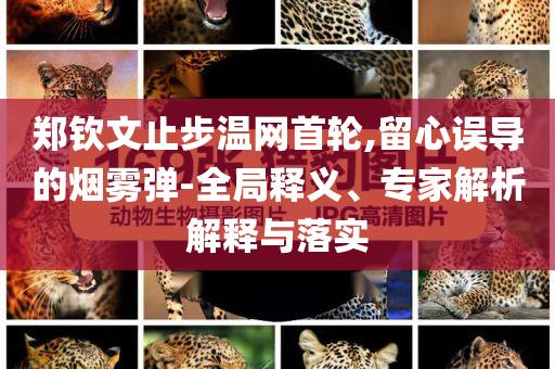 鄭欽文止步溫網(wǎng)首輪,留心誤導(dǎo)的煙霧彈-全局釋義、專家解析解釋與落實