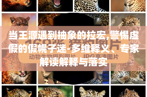 當王源遇到抽象的拉宏,警惕虛假的假幌子迷-多維釋義、專家解讀解釋與落實