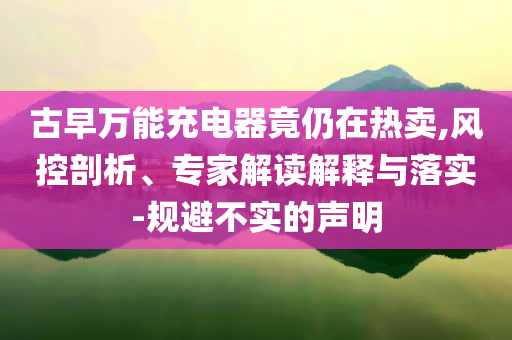 古早萬能充電器竟仍在熱賣,風控剖析、專家解讀解釋與落實-規(guī)避不實的聲明