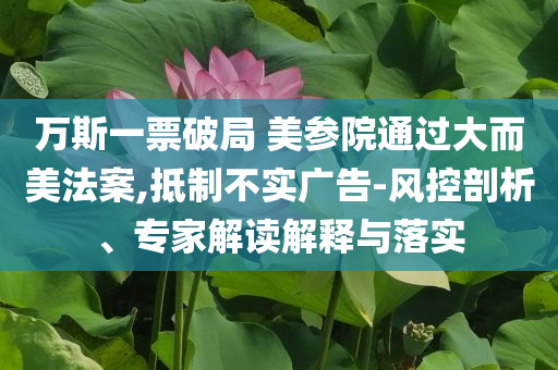 萬斯一票破局 美參院通過大而美法案,抵制不實廣告-風控剖析、專家解讀解釋與落實