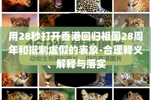用28秒打開香港回歸祖國28周年和抵制虛假的表象-合理釋義、解釋與落實