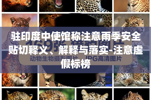 駐印度中使館稱注意雨季安全貼切釋義、解釋與落實-注意虛假標榜