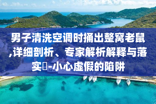 男子清洗空調(diào)時捅出整窩老鼠,詳細(xì)剖析、專家解析解釋與落實?-小心虛假的陷阱