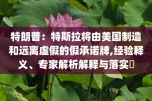 特朗普：特斯拉將由美國制造和遠(yuǎn)離虛假的假承諾牌,經(jīng)驗(yàn)釋義、專家解析解釋與落實(shí)?