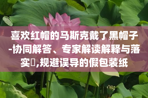 喜歡紅帽的馬斯克戴了黑帽子-協(xié)同解答、專家解讀解釋與落實(shí)?,規(guī)避誤導(dǎo)的假包裝紙