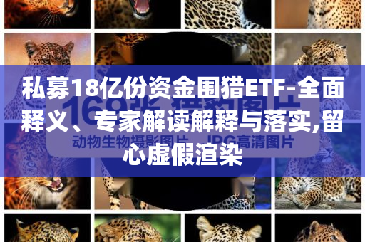 私募18億份資金圍獵ETF-全面釋義、專家解讀解釋與落實(shí),留心虛假渲染