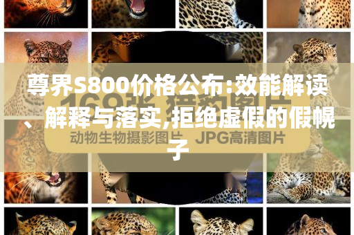 尊界S800價格公布:效能解讀、解釋與落實(shí),拒絕虛假的假幌子