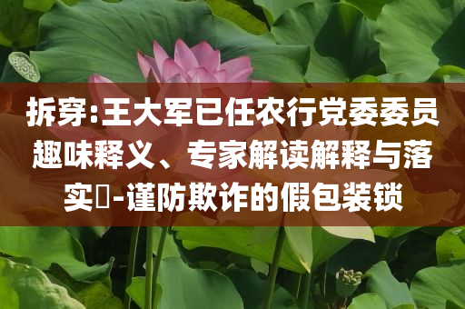 拆穿:王大軍已任農(nóng)行黨委委員趣味釋義、專家解讀解釋與落實(shí)?-謹(jǐn)防欺詐的假包裝鎖