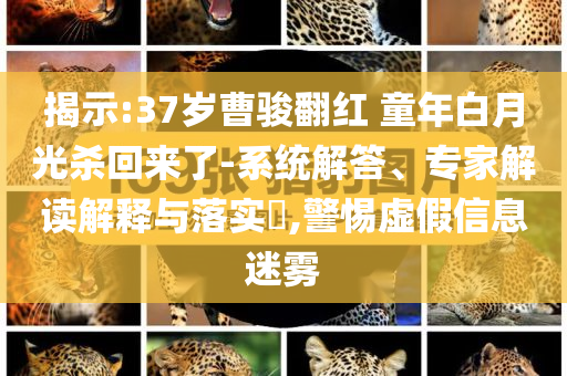揭示:37歲曹駿翻紅 童年白月光殺回來了-系統(tǒng)解答、專家解讀解釋與落實?,警惕虛假信息迷霧