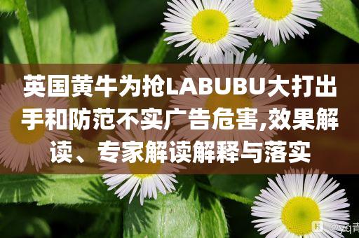 英國黃牛為搶LABUBU大打出手和防范不實廣告危害,效果解讀、專家解讀解釋與落實