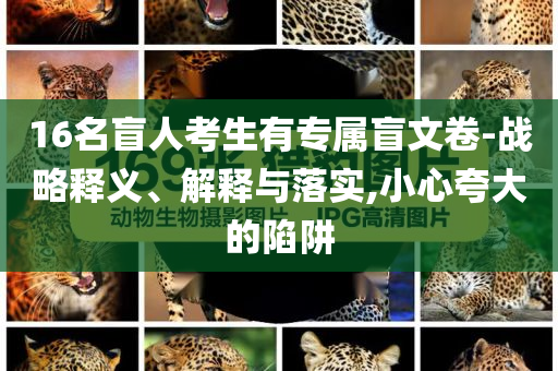 16名盲人考生有專屬盲文卷-戰(zhàn)略釋義、解釋與落實,小心夸大的陷阱