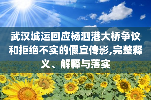 武漢城運回應楊泗港大橋爭議和拒絕不實的假宣傳影,完整釋義、解釋與落實