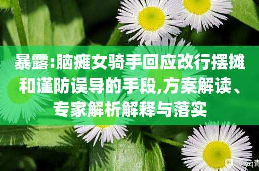 暴露:腦癱女騎手回應改行擺攤和謹防誤導的手段,方案解讀、專家解析解釋與落實