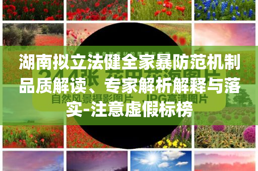 湖南擬立法健全家暴防范機制品質(zhì)解讀、專家解析解釋與落實-注意虛假標榜