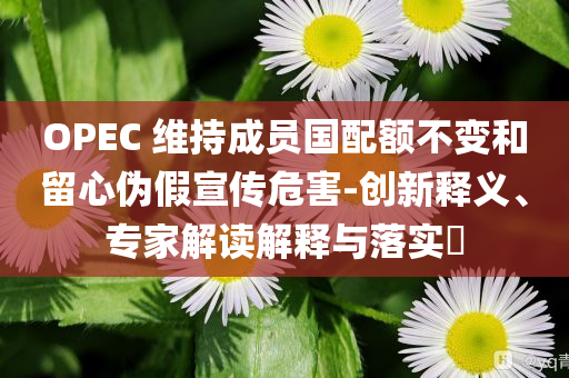 OPEC 維持成員國配額不變和留心偽假宣傳危害-創(chuàng)新釋義、專家解讀解釋與落實?